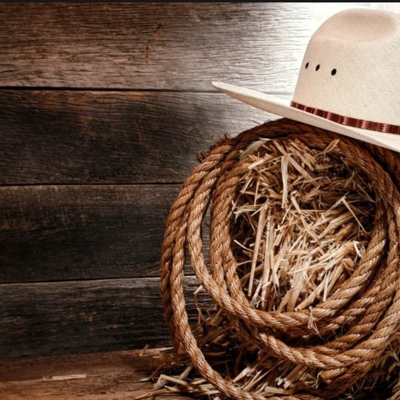 Meet your Posher, Kaitlyn - Picture 3 of 4